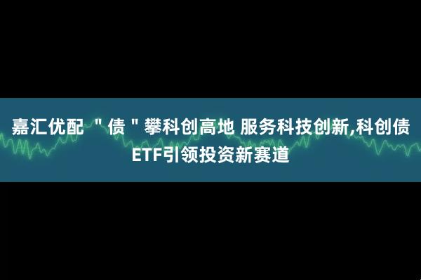 嘉汇优配 ＂债＂攀科创高地 服务科技创新,科创债ETF引领投资新赛道