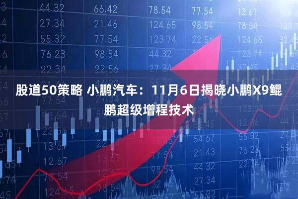 股道50策略 小鹏汽车:11月6日揭晓小鹏X9鲲鹏超级增程技术
