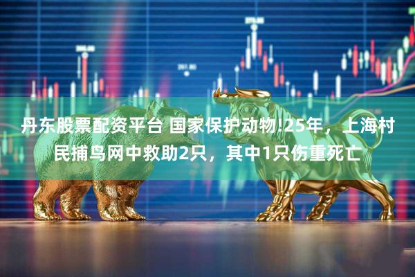 丹东股票配资平台 国家保护动物!25年，上海村民捕鸟网中救助2只，其中1只伤重死亡